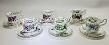 Royal Albert England Flower Of The Month Series Montrose DEMITASSE Teacup/ Saucer Collection of Six. c. 1970's