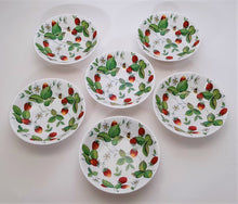 Roy Kirkham Alpine Strawberry Fine Bone China Coupe Cereal Bowl Set of Six