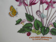 Portmeirion Botanic Garden Heart Shaped Cyclamen Repandum 8" Dish