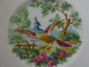 E.B. Foley China Works Broadway Blue Bird of Paradise and Floral Hand Painted Bone China Cup and Saucer Set. c.1936-1948