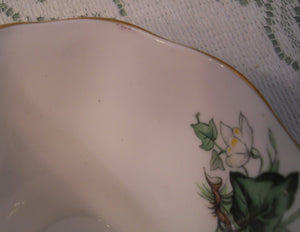 Royal Albert Ivy Lea Bone China, England Teacup and Saucer Set