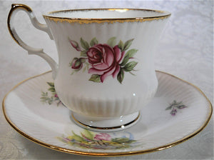 Rosina Queens Fine Bone China Roses and Country Cottage Tea Cup and Saucer Set